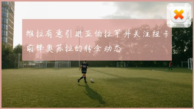维拉有意引进亚伯拉罕并关注纽卡前锋奥苏拉的转会动态